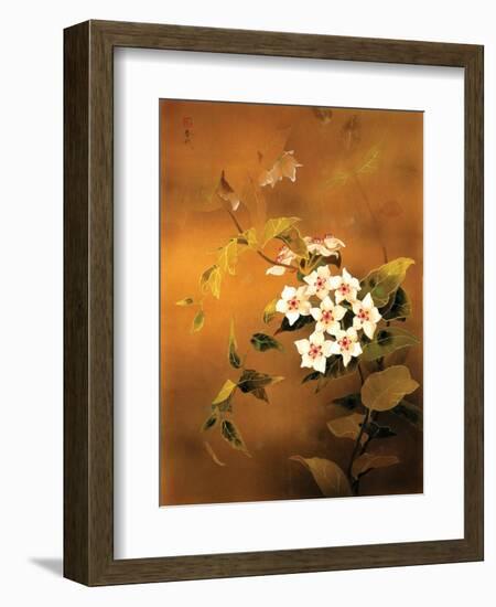 Tropical Flower-Haruyo Morita-Framed Premium Giclee Print