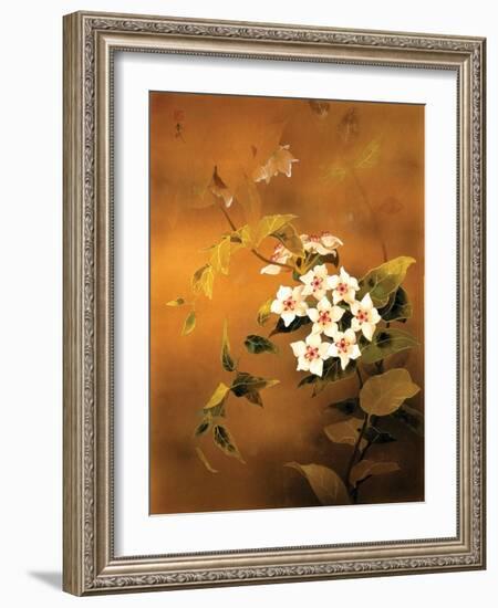 Tropical Flower-Haruyo Morita-Framed Art Print