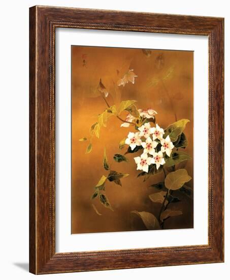 Tropical Flower-Haruyo Morita-Framed Art Print