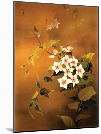 Tropical Flower-Haruyo Morita-Mounted Art Print