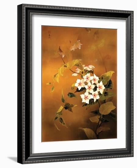 Tropical Flower-Haruyo Morita-Framed Art Print