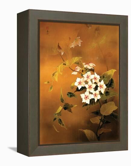 Tropical Flower-Haruyo Morita-Framed Stretched Canvas