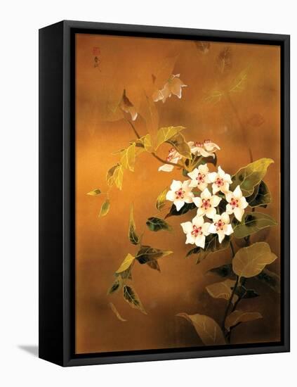 Tropical Flower-Haruyo Morita-Framed Stretched Canvas