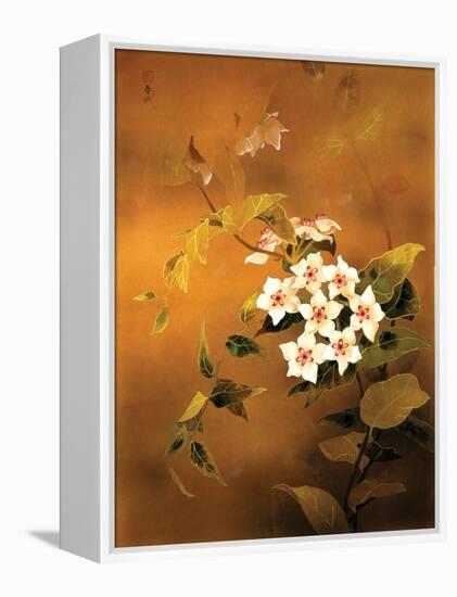 Tropical Flower-Haruyo Morita-Framed Stretched Canvas