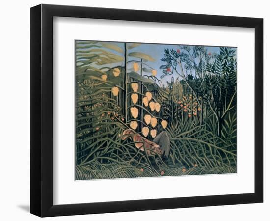 Tropical Forest: Battling Tiger and Buffalo, 1908-Henri Rousseau-Framed Giclee Print