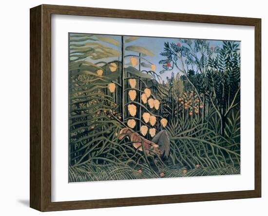 Tropical Forest: Battling Tiger and Buffalo, 1908-Henri Rousseau-Framed Giclee Print