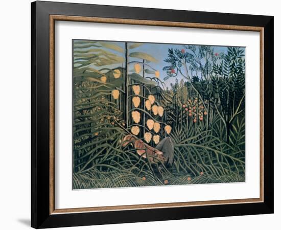 Tropical Forest: Battling Tiger and Buffalo, 1908-Henri Rousseau-Framed Giclee Print