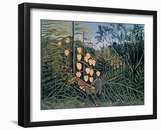 Tropical Forest: Battling Tiger and Buffalo, 1908-Henri Rousseau-Framed Giclee Print