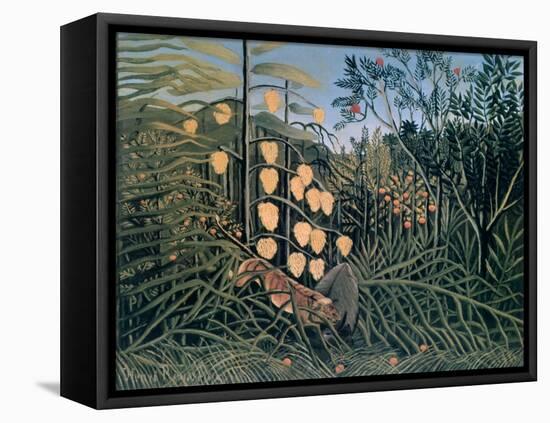 Tropical Forest: Battling Tiger and Buffalo, 1908-Henri Rousseau-Framed Premier Image Canvas