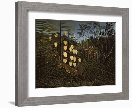 Tropical Forest: Battling Tiger and Bull-Henri Rousseau-Framed Giclee Print