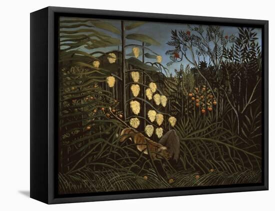 Tropical Forest: Battling Tiger and Bull-Henri Rousseau-Framed Premier Image Canvas
