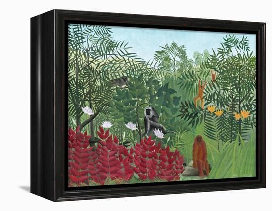 Tropical Forest with Monkeys, 1910-Henri Rousseau-Framed Premier Image Canvas