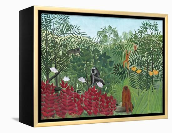 Tropical Forest with Monkeys, 1910-Henri Rousseau-Framed Premier Image Canvas