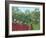 Tropical Forest with Monkeys, 1910-Henri Rousseau-Framed Giclee Print