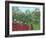 Tropical Forest with Monkeys, 1910-Henri Rousseau-Framed Giclee Print