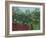 Tropical Forest with Monkeys, 1910-Henri Rousseau-Framed Art Print