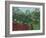 Tropical Forest with Monkeys, 1910-Henri Rousseau-Framed Art Print