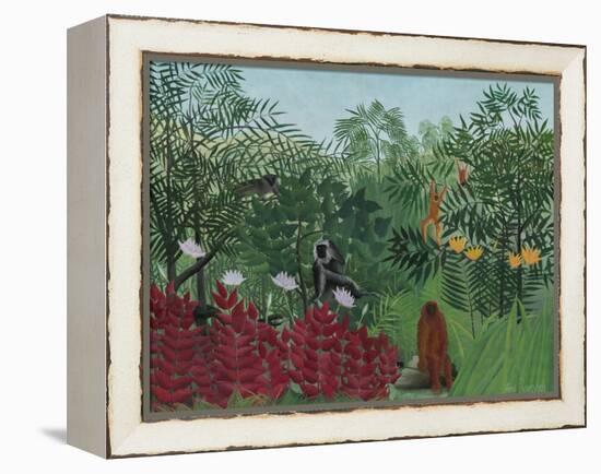 Tropical Forest with Monkeys, 1910-Henri Rousseau-Framed Stretched Canvas