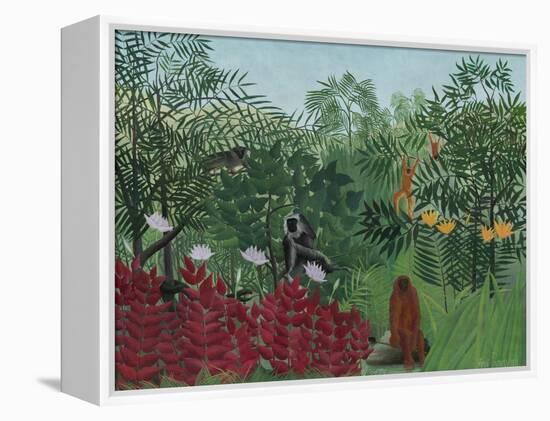 Tropical Forest with Monkeys, 1910-Henri Rousseau-Framed Stretched Canvas