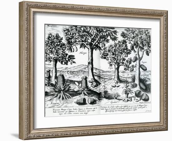 Tropical Fruit Trees, 1596-Johannes Baptista van Frueauf the Younger-Framed Giclee Print