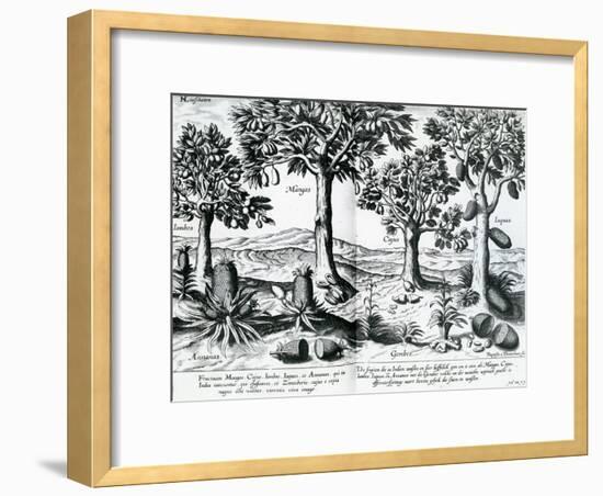 Tropical Fruit Trees, 1596-Johannes Baptista van Frueauf the Younger-Framed Giclee Print