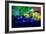 Tropical Fruit-Lincoln Seligman-Framed Giclee Print