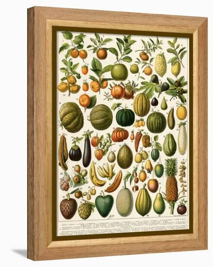 Tropical Fruits-null-Framed Premier Image Canvas