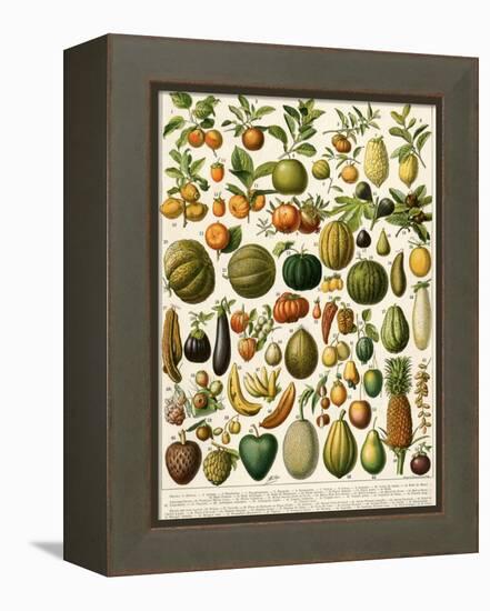 Tropical Fruits-null-Framed Premier Image Canvas