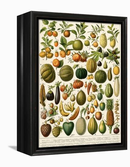 Tropical Fruits-null-Framed Premier Image Canvas