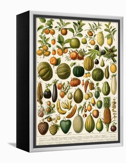 Tropical Fruits-null-Framed Premier Image Canvas