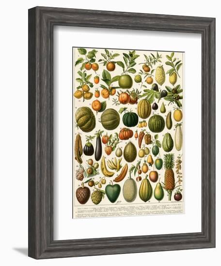 Tropical Fruits-null-Framed Giclee Print