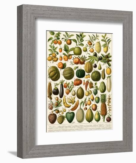 Tropical Fruits-null-Framed Giclee Print