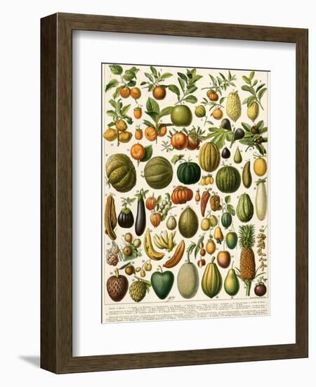 Tropical Fruits--Framed Giclee Print