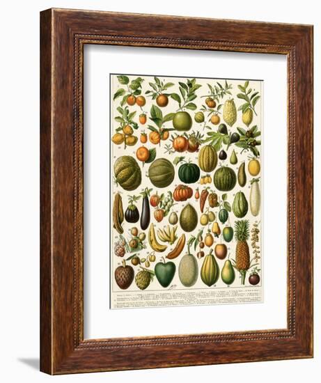 Tropical Fruits-null-Framed Giclee Print