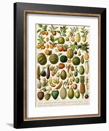 Tropical Fruits--Framed Giclee Print
