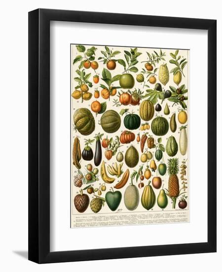 Tropical Fruits-null-Framed Giclee Print