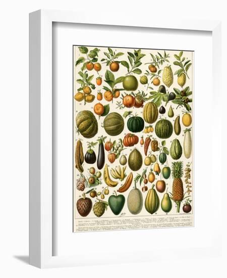 Tropical Fruits--Framed Giclee Print