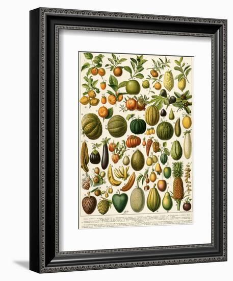 Tropical Fruits-null-Framed Giclee Print