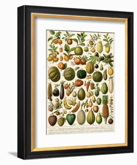 Tropical Fruits-null-Framed Giclee Print