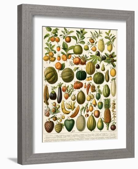 Tropical Fruits-null-Framed Giclee Print