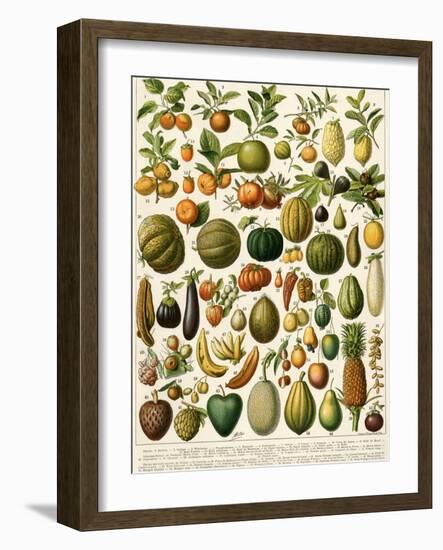 Tropical Fruits-null-Framed Giclee Print