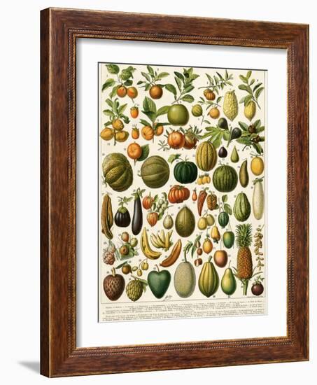 Tropical Fruits-null-Framed Giclee Print