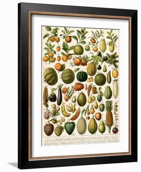 Tropical Fruits-null-Framed Giclee Print