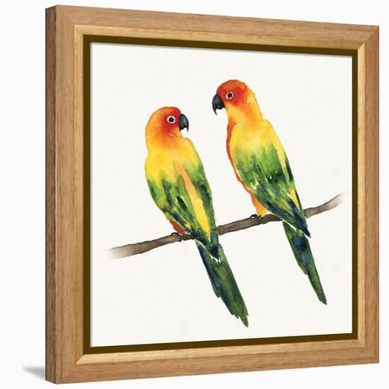 Tropical Fun Bird III-Harriet Sussman-Framed Stretched Canvas