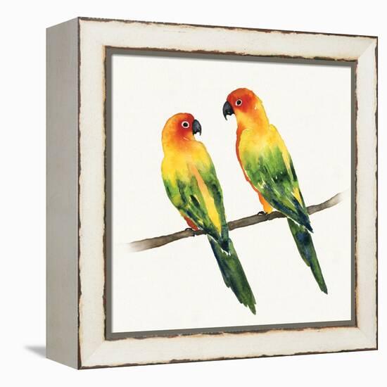 Tropical Fun Bird III-Harriet Sussman-Framed Stretched Canvas