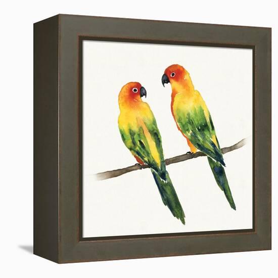 Tropical Fun Bird III-Harriet Sussman-Framed Stretched Canvas
