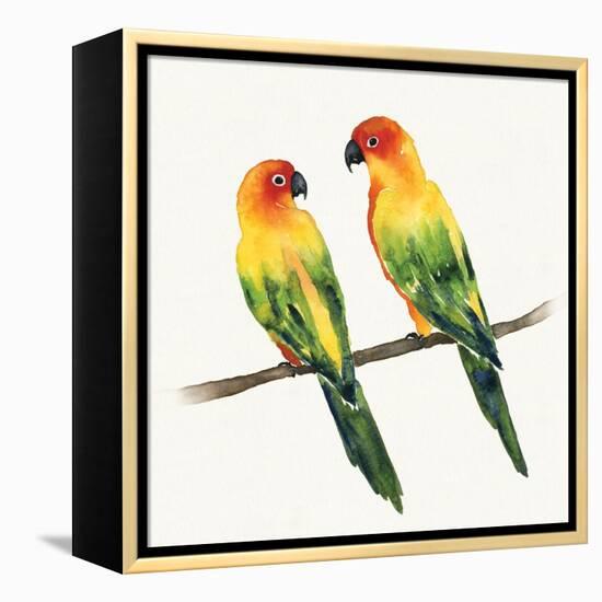 Tropical Fun Bird III-Harriet Sussman-Framed Stretched Canvas