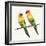 Tropical Fun Bird III-Harriet Sussman-Framed Premium Giclee Print