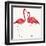 Tropical Fun Bird IV-Harriet Sussman-Framed Art Print