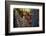 Tropical Garden-Herb Dickinson-Framed Photographic Print